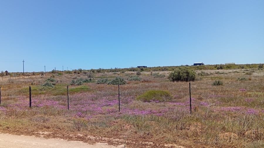 0 Bedroom Property for Sale in Trekoskraal Western Cape